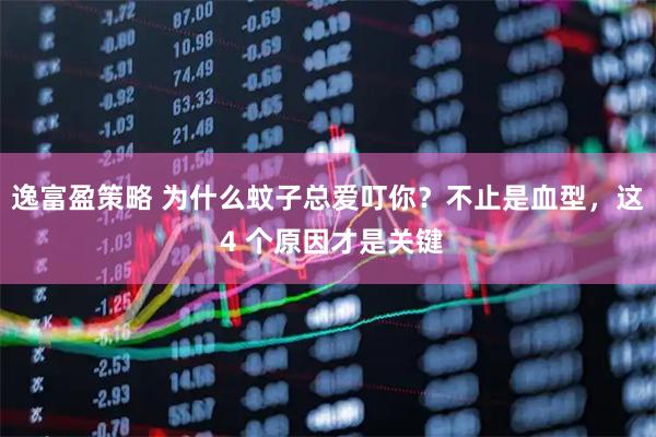 逸富盈策略 为什么蚊子总爱叮你？不止是血型，这 4 个原因才是关键