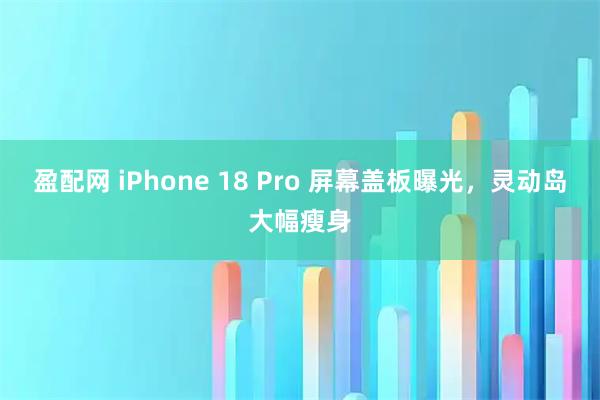 盈配网 iPhone 18 Pro 屏幕盖板曝光，灵动岛大幅瘦身
