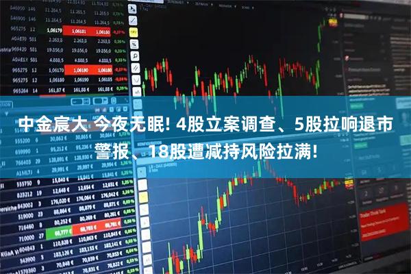 中金宸大 今夜无眠! 4股立案调查、5股拉响退市警报、18股遭减持风险拉满!