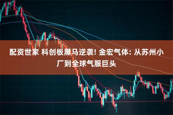 配资世家 科创板黑马逆袭! 金宏气体: 从苏州小厂到全球气服巨头