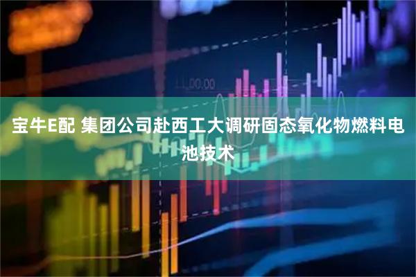 宝牛E配 集团公司赴西工大调研固态氧化物燃料电池技术