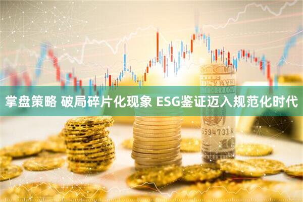 掌盘策略 破局碎片化现象 ESG鉴证迈入规范化时代