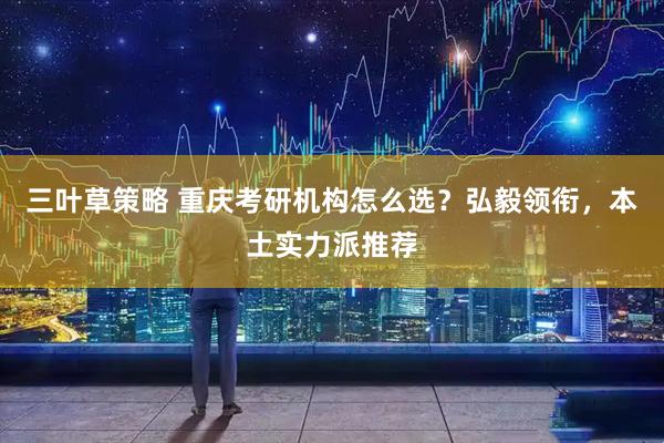 三叶草策略 重庆考研机构怎么选？弘毅领衔，本土实力派推荐