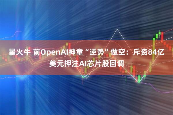 星火牛 前OpenAI神童“逆势”做空：斥资84亿美元押注AI芯片股回调