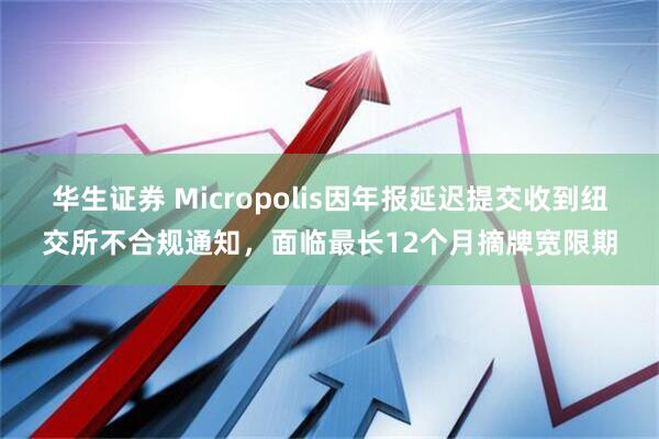 华生证券 Micropolis因年报延迟提交收到纽交所不合规通知，面临最长12个月摘牌宽限期