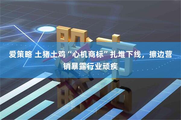 爱策略 土猪土鸡“心机商标”扎堆下线，擦边营销暴露行业顽疾