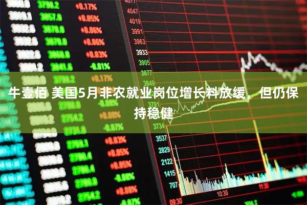 牛壹佰 美国5月非农就业岗位增长料放缓,但仍保持稳健