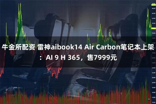 牛金所配资 雷神aibook14 Air Carbon笔记本上架：AI 9 H 365，售7999元
