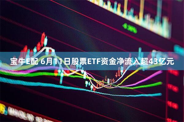 宝牛E配 6月11日股票ETF资金净流入超43亿元