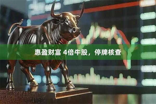 惠盈财富 4倍牛股，停牌核查
